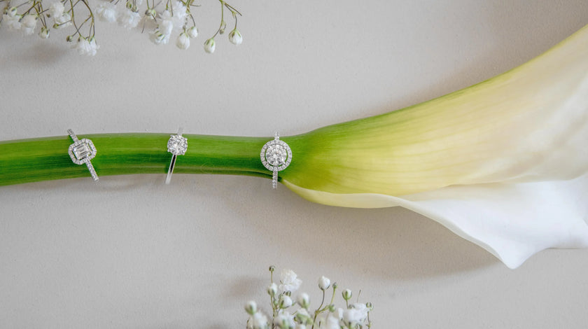 3 bagues de fiançailles sont posées sur une fleur