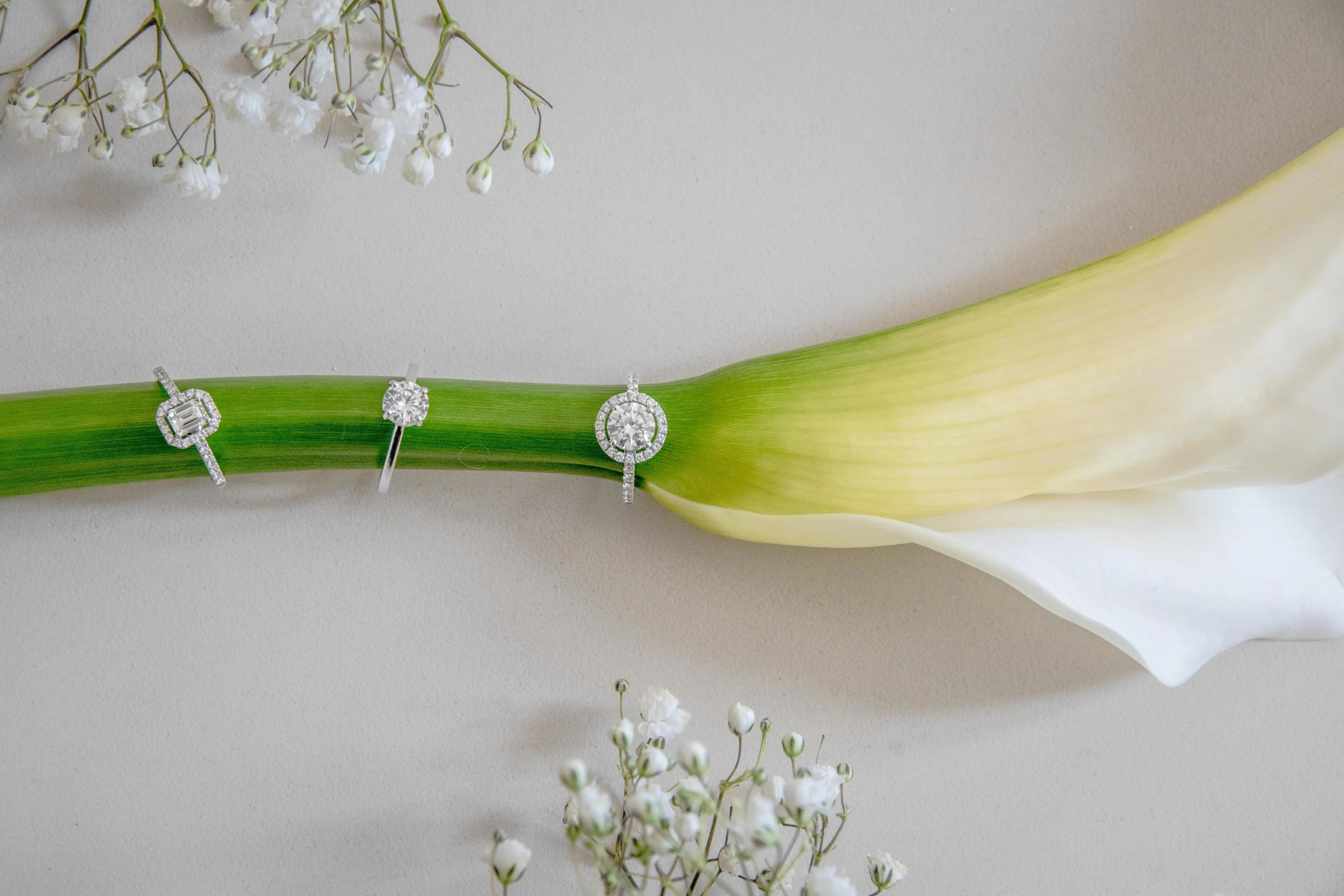 Quel doigt et quelle main pour une bague de fiançailles Guide complet Barth MonteCarlo